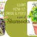Learn How to Draw and Paint Shamrocks